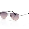 Astor Sunglasses Astor Sunglasses
