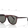 Damian Sunglasses Damian Sunglasses